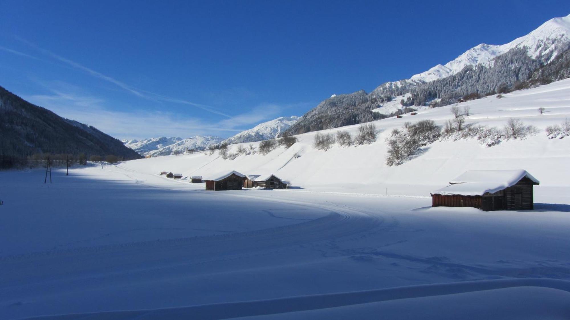 Apart Stella Alpina Pettneu am Arlberg Exteriör bild