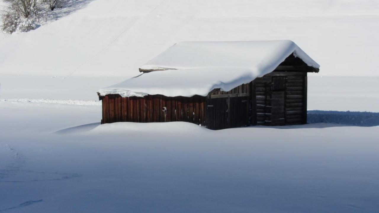 Apart Stella Alpina Pettneu am Arlberg Exteriör bild